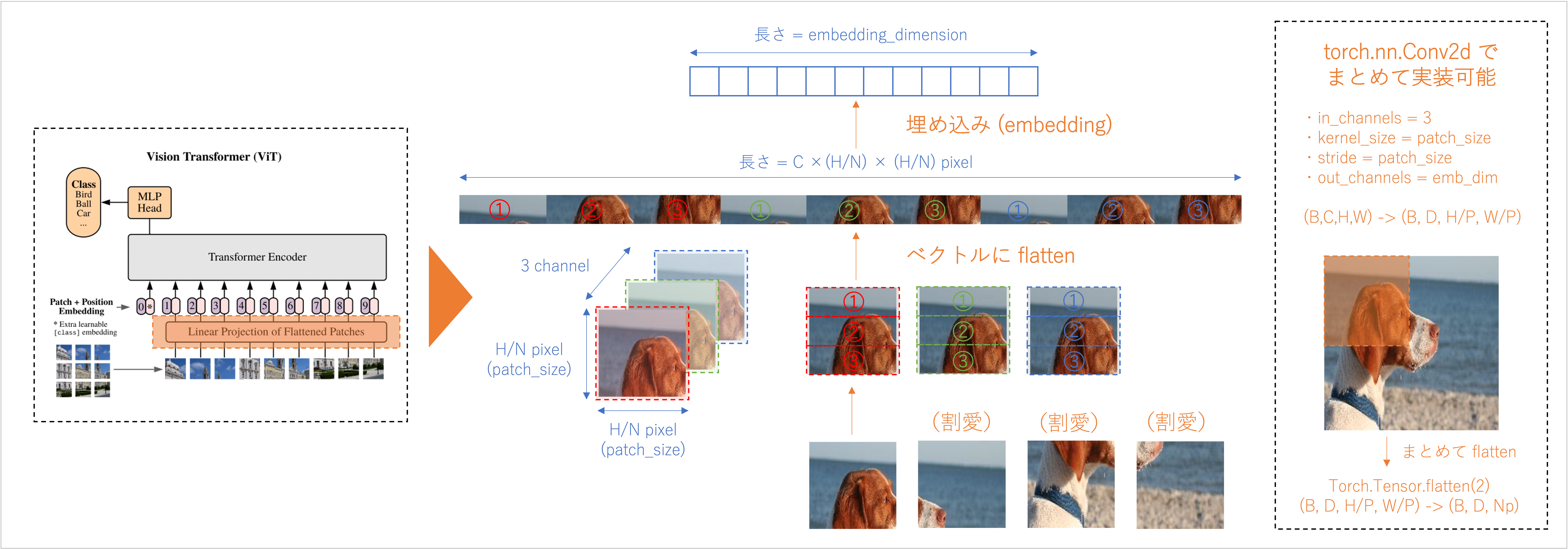 vit_patch2emb